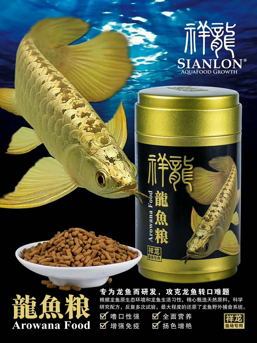 Boqueron Golden dragon fish food