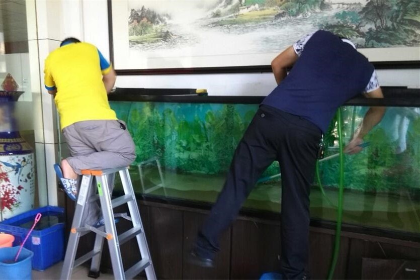 Boqueron Fish tank cleaning and maintenance