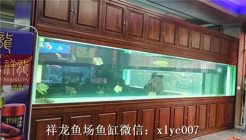 Boqueron Large aquarium customized 6M